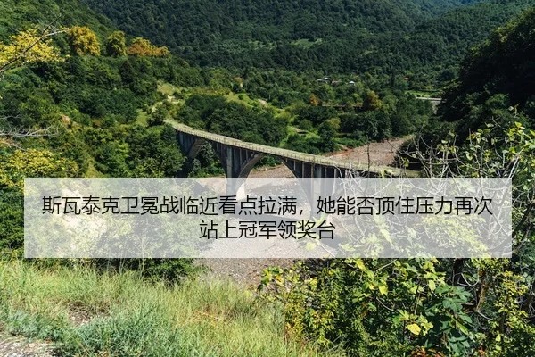 si-wa-tai-ke-wei-mian-zhan-lin-jin-kan-dian-la-man-ta-neng-fou-ding-zhu-ya-li-zai-ci-zhan-shang-guan-jun-ling-jiang-tai-2-959.jpg